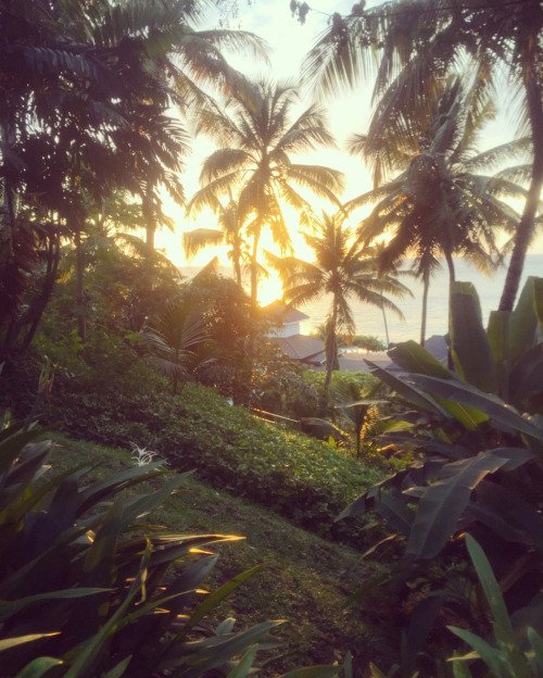 lodgeoapp's tweet photo. Not All Who Wander Are Lost #WanderlustWednesday #travel https://t.co/0rnbisrqkX