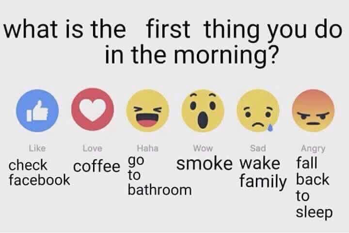 Hochsetl4Sarah's tweet photo. What's your frist to go in the Moring? https://t.co/rRX1NfcsyR