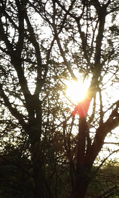 Dr. Ashoke Kumar Sen tweet media