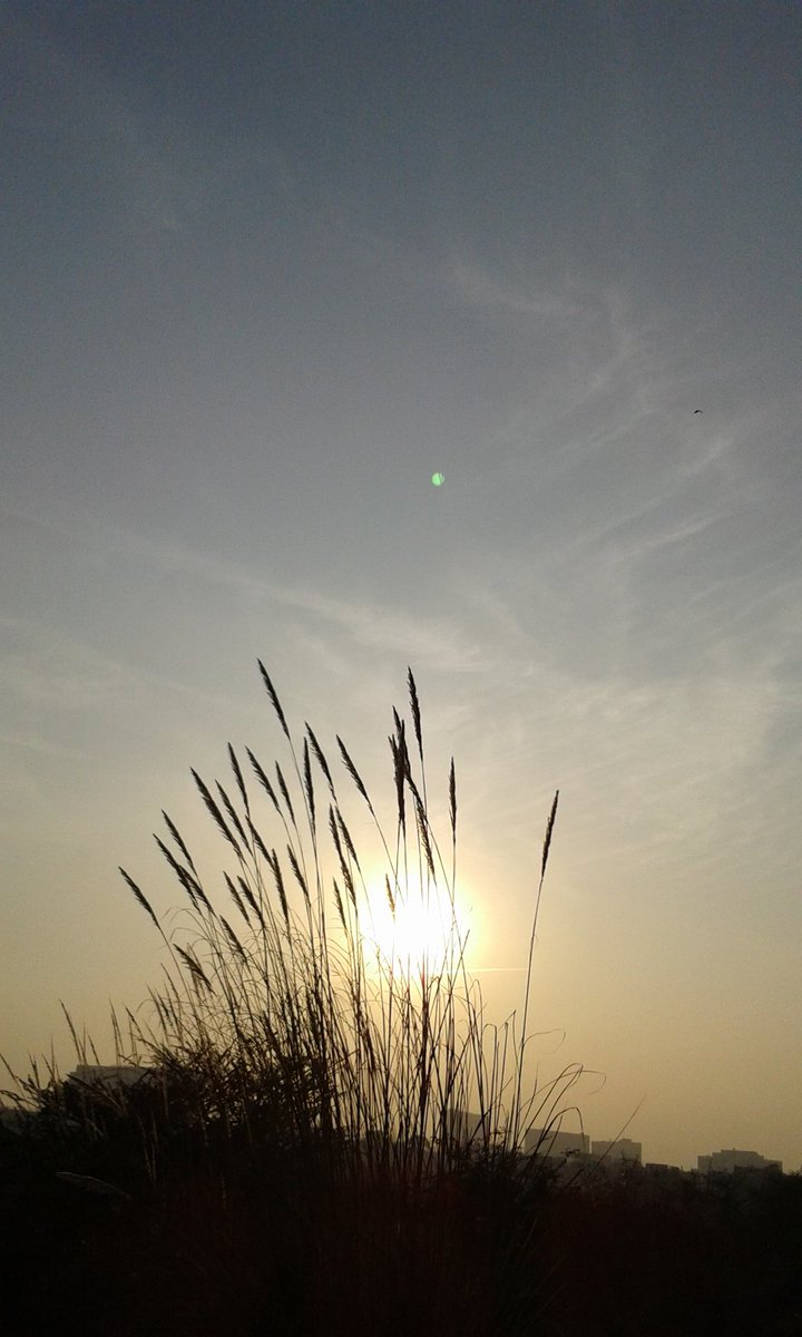 Dr. Ashoke Kumar Sen tweet media