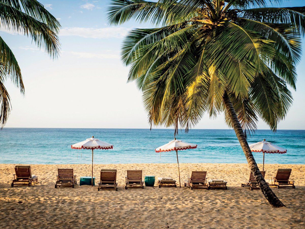 CNTraveler's tweet photo. These are the best new hotels in the Caribbean and Mexico https://t.co/2JipYOZDpi https://t.co/cvmIQ811k0