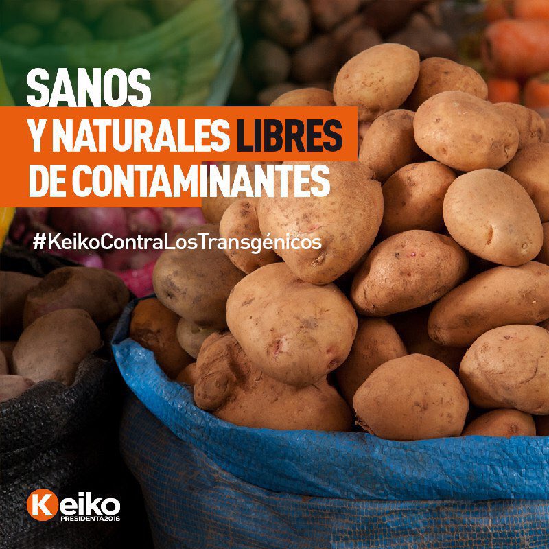KeikoFujimori's tweet photo. Porque queremos cuidar al Perú y su riqueza, ¡NO a los transgénicos! https://t.co/DEHlfsO0IP