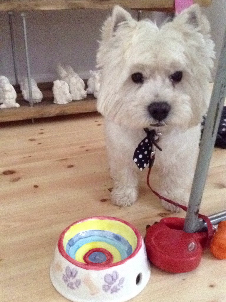 This clever #dog added #pawprints to his own #dogbowl