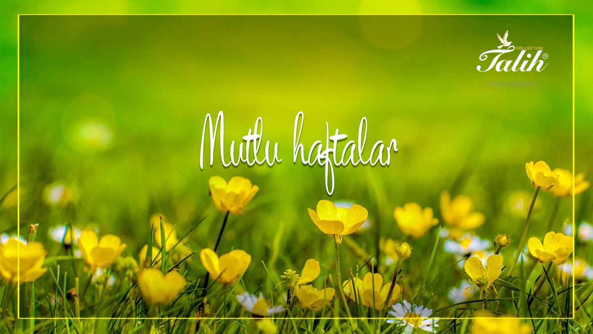 talihpardesu's tweet photo. #Mutlu #Haftalar https://t.co/41nTvMU9sH