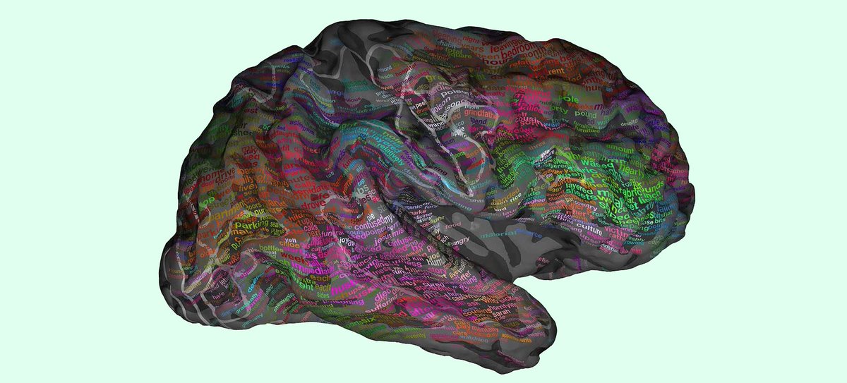 Gizmodo tweet picture