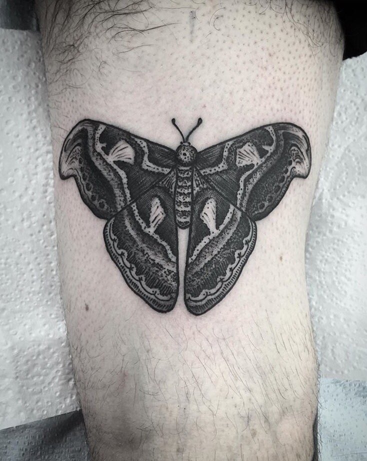 calebjclaytron's tweet photo. Fun textured moth I did a wile back https://t.co/fXi7i2rqVq