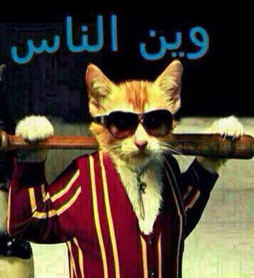 يمني وفتخر (@lis8hrjvqtg78kf) on Twitter photo 