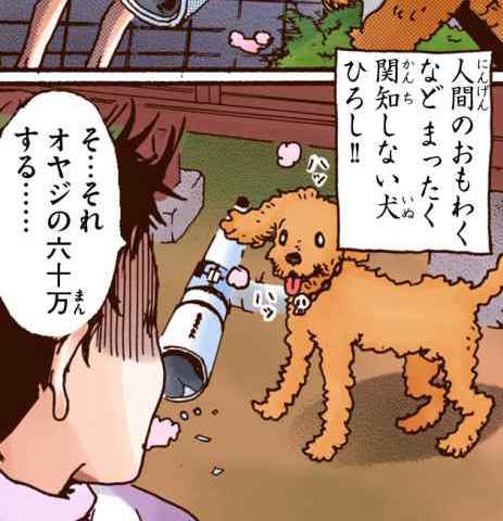 【期間限定】シュガルン1巻がフルカラーで公開中♡カラーになったひろしは、可愛さも倍なのであった!!(スタッフ)https://t.co/TuJRxnF2be 
