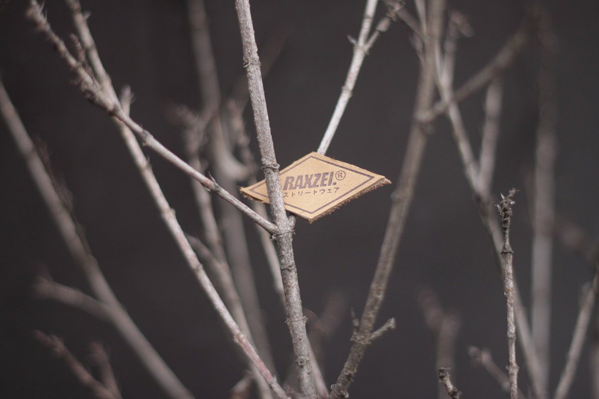 Raxzelwear's tweet image. #raxzelwear #gooutside #wandervibes