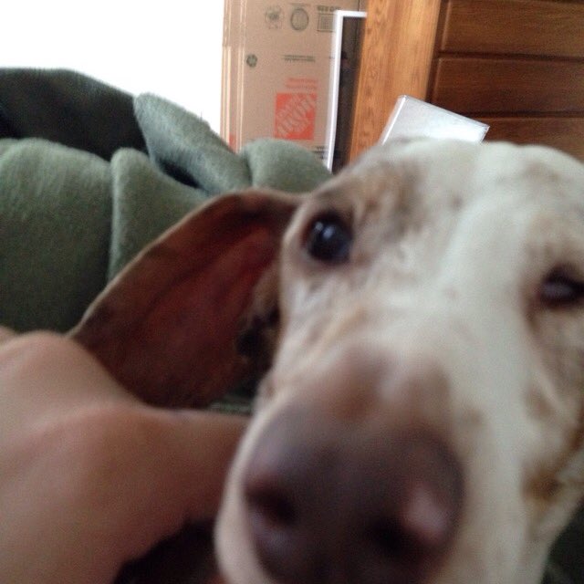 deadhead_josh's tweet photo. Earl says hi. https://t.co/l1TSNV3TJs