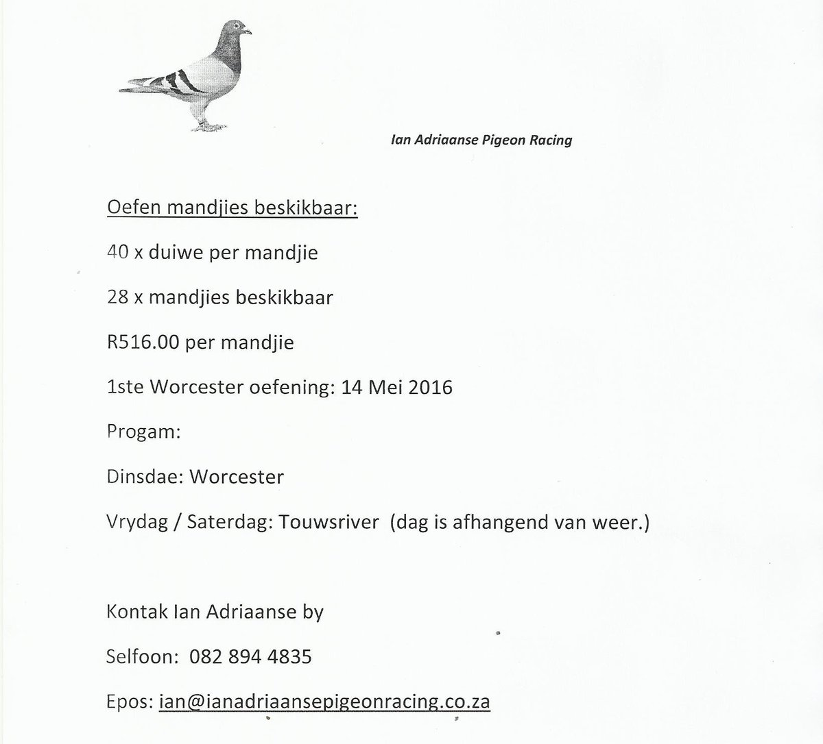 PigeonInFlight's tweet photo. Oefen mandjies beskikbaar vanaf Paarl. https://t.co/nSUB86XIlz