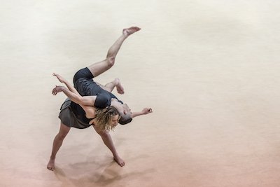 Fertile Ground tweet media