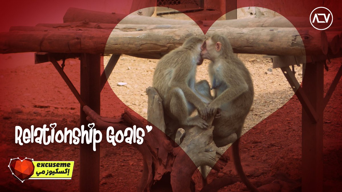 altvmedia's tweet photo. #RelationShippGoals as we know it https://t.co/LUJMvrGAdC
#ماذا_تعرف_عن_الحب https://t.co/tX7TaYo3Rl