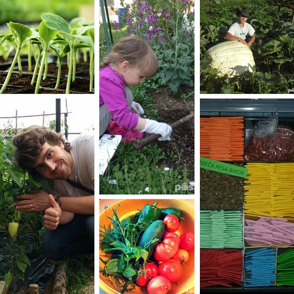 thetomappo's tweet photo. #gardening = #peace of mind + #healthy #food + #pride RT if you agree! https://t.co/r1019BuQ2F