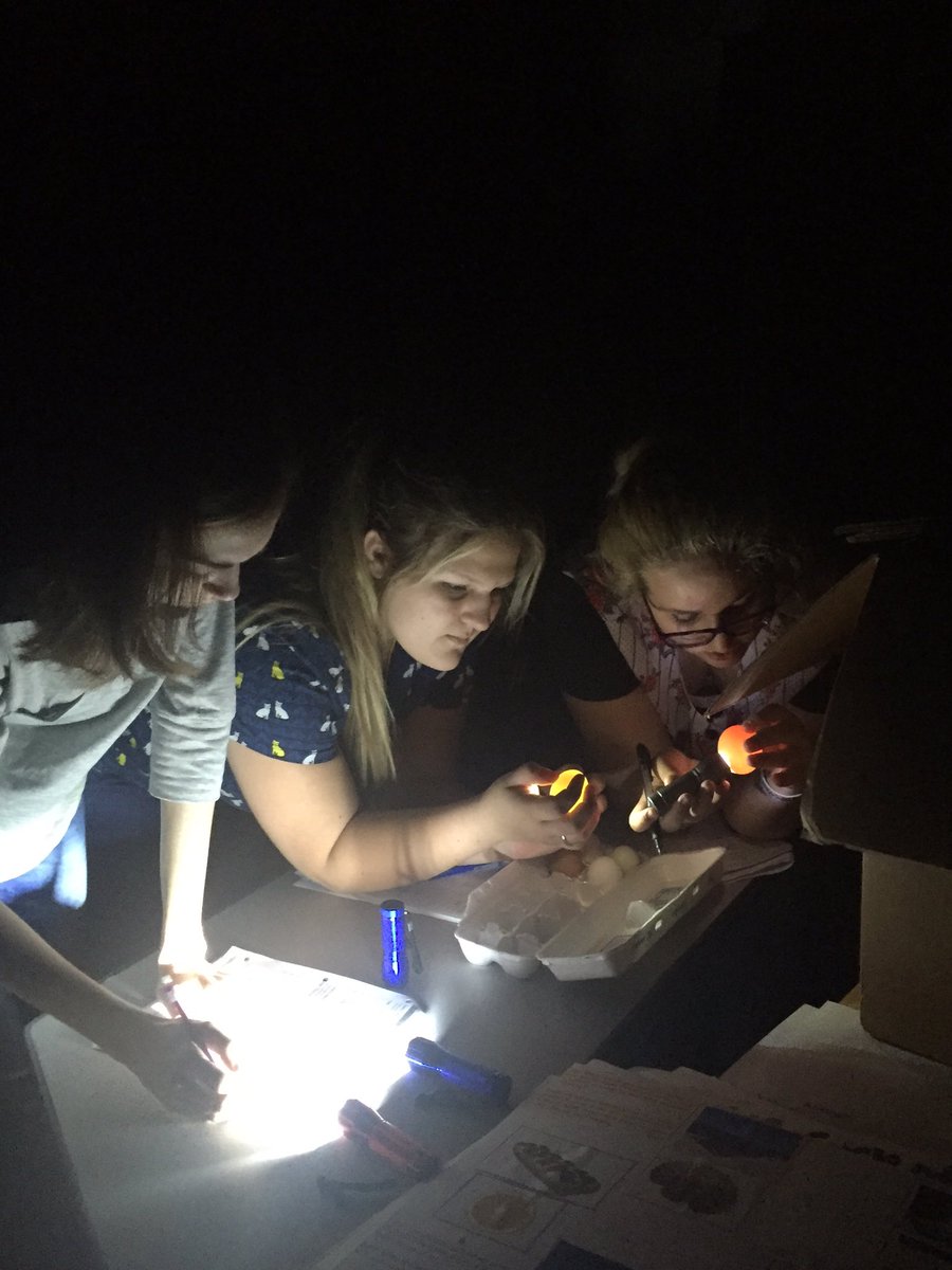 vet_pr's tweet photo. Learning to grade interior and exterior egg quality #TheEggsHaveIt #AgEd360 @case4learning https://t.co/x1iYccWjTZ