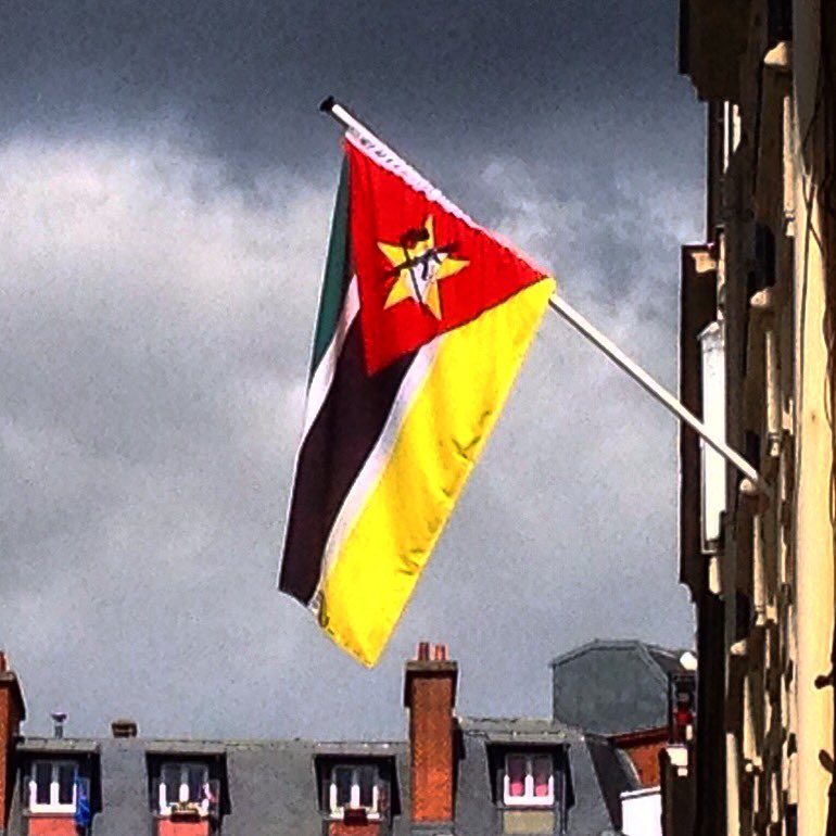 Isaows's tweet image. Il y a bien une arme sur le drapeau de la république du Mozambique ?!? Ambassade à Paris 17ème. #drapeau #arme