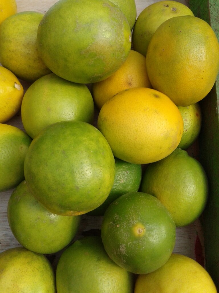 BuahViera's tweet photo. Lemon amerika
Grade A
Hrg 25000
Order 100kg
Bdg cimahi free ongkir
Dibawah itu pakai gojek/kargo
#updateharga https://t.co/Nm2516yHlo