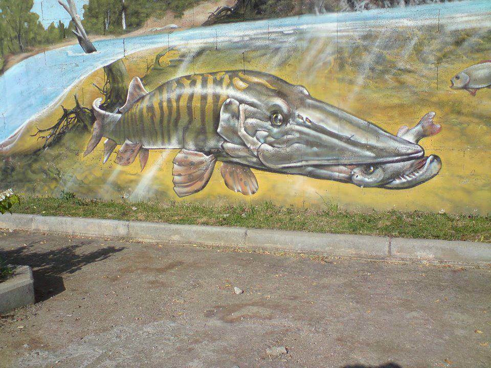 GOfishingStore's tweet photo. Best graffitti ever? https://t.co/ycShhGlEH3