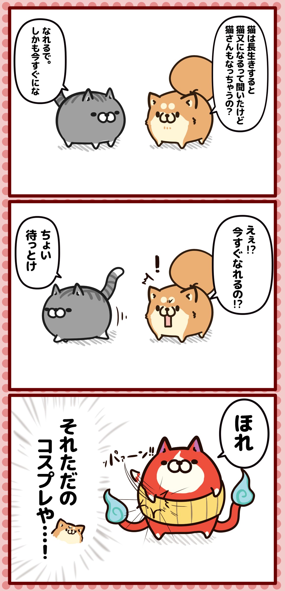 ボンレス猫 Twitter