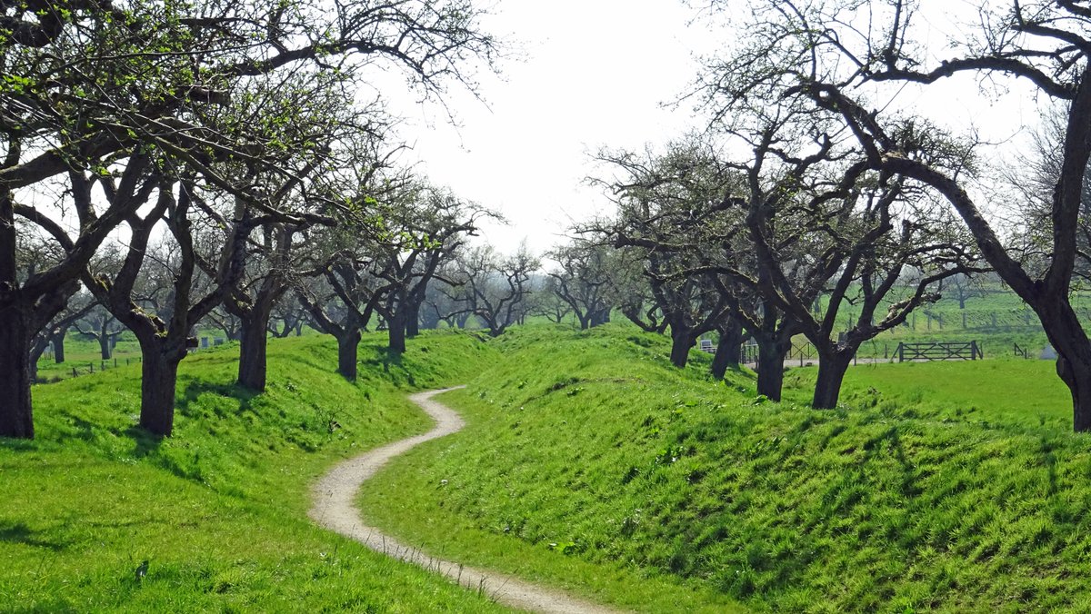 Vanaf komende zaterdag vaart de Liniepont weer tussen Werk aan de Groeneweg, <a href="/WerkaanhetSpoel/">Werk aan het Spoel</a> en Fort Everdingen