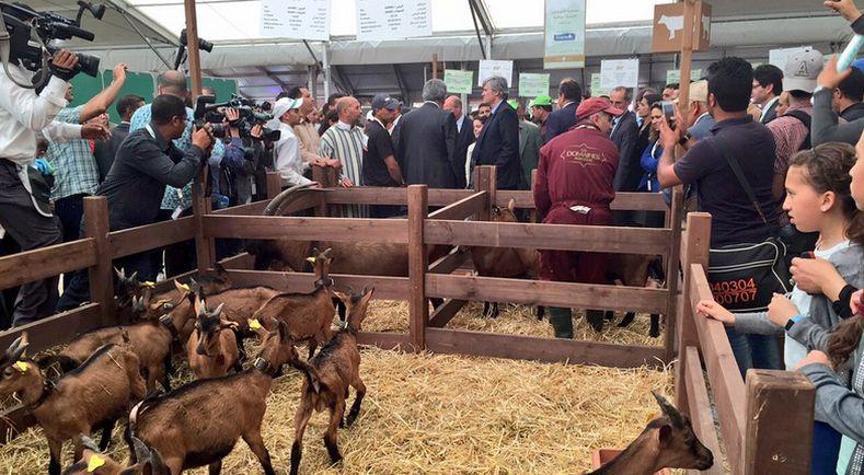 Agri_Gouv's tweet photo. [#cop21] 3 questions à Daniel Laborde, conseiller agricole à l’ambassade de France au Maroc https://t.co/ThdMn3cgYn https://t.co/yoE1eKDSqF
