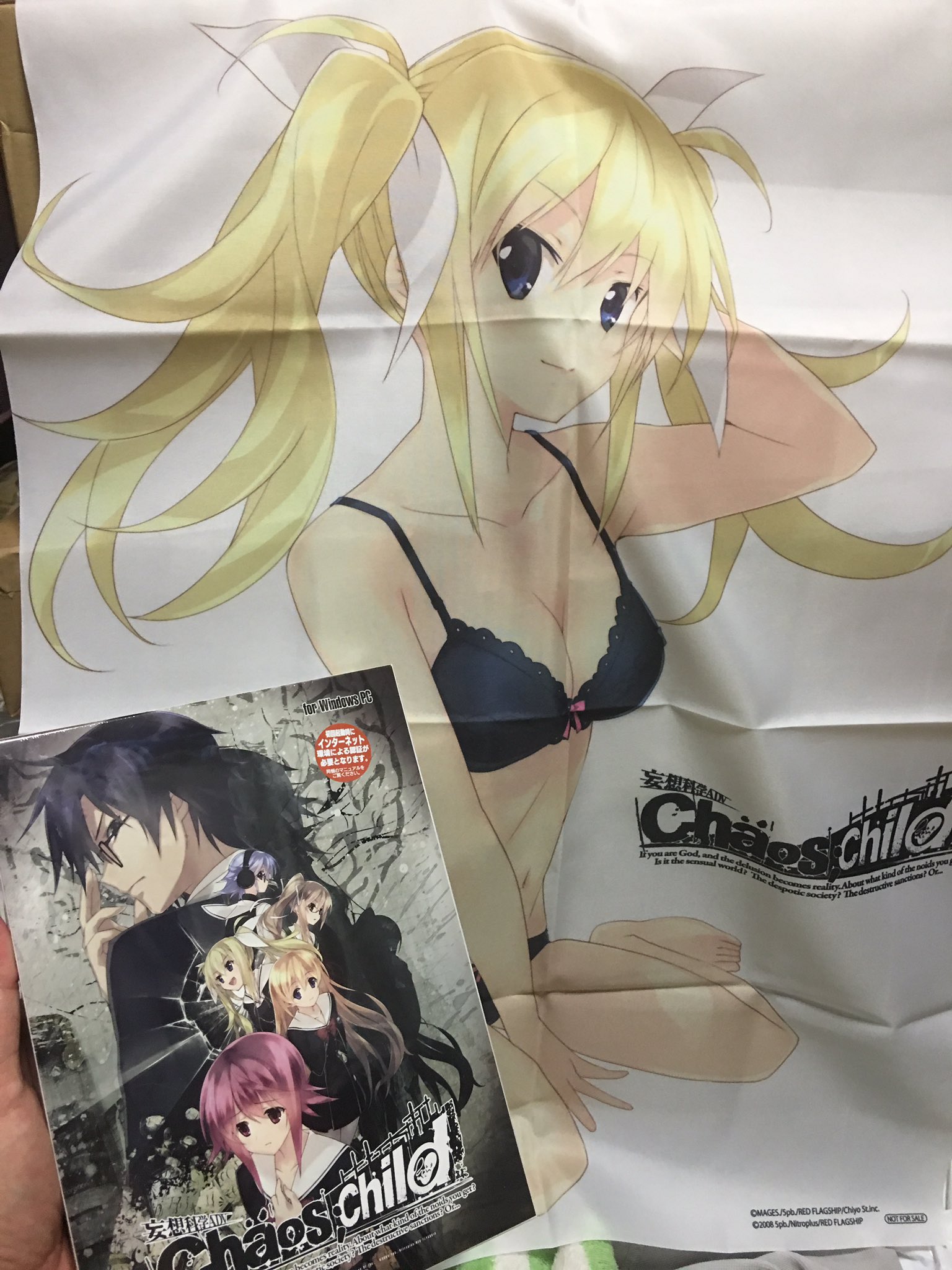 片桐 勇者屋 ラボメンno 9になったよ En Twitter Pc版カオスチャイルド アニメイト特典は布ポスター タペストリーより収納が楽 カオチャ T Co Gh35jaulvf Twitter