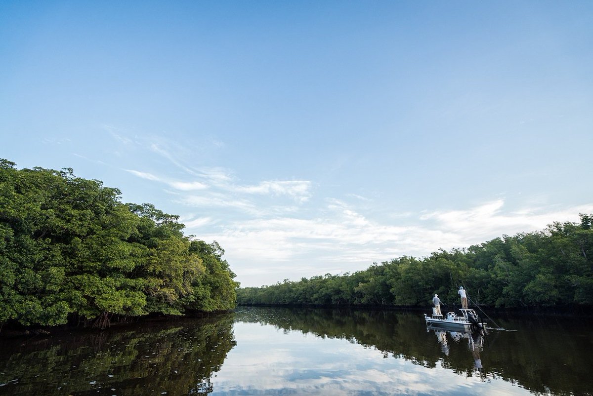 ElevenAngling's tweet photo. A perfect day in the Everglades. #flyfishing #lifeoffthechart #Everglades #tarpon #elevenangling https://t.co/HcUILTEjDw