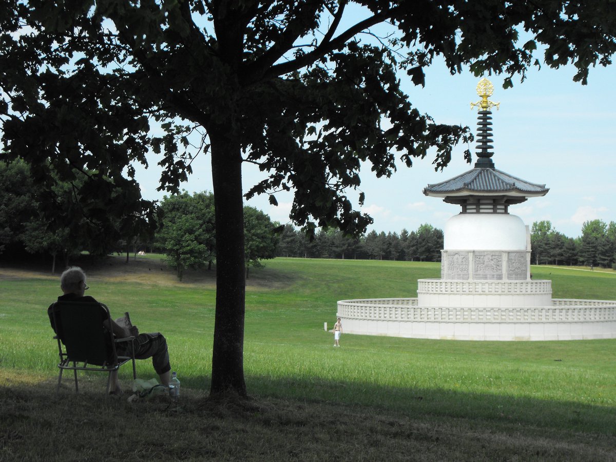 @Zoenolan3 #LoveMK Grand Union Canal Willen Lake Campbell Park