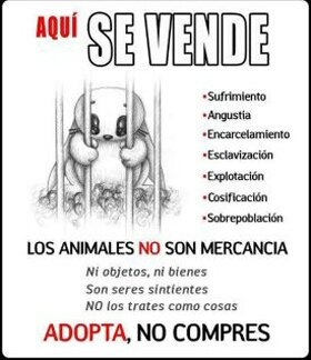 huellasdecabal's tweet photo. https://t.co/Fndg5zAgao