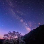 幻想的で儚い…満天の星空と桜が、今宵恋に落ちました