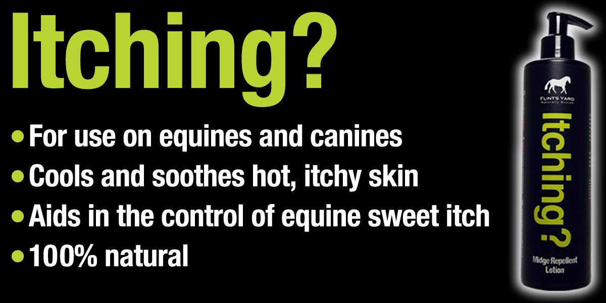 FlintsYard's tweet image. Prevention is better than cure! Stock up on Itching? and be prepared for the summer! bit.ly/23QaZQ0