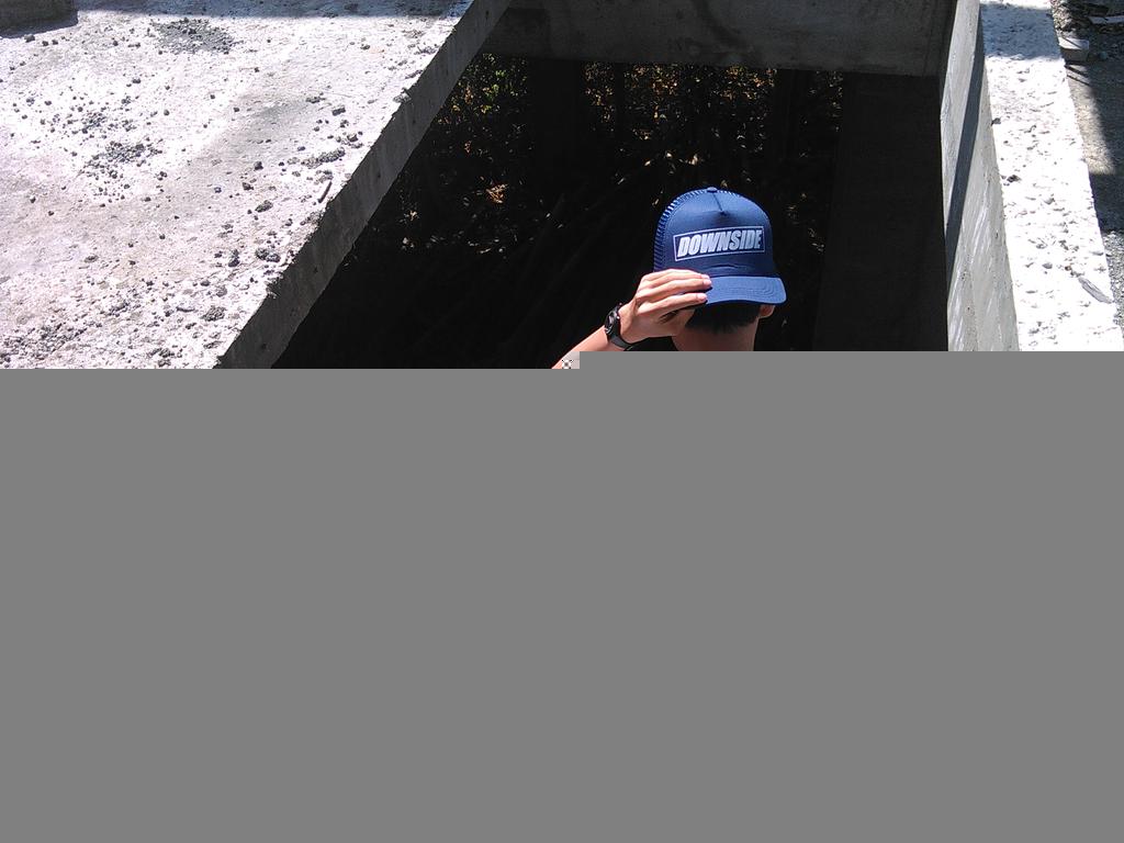 DOWNSIDE_IND tweet media