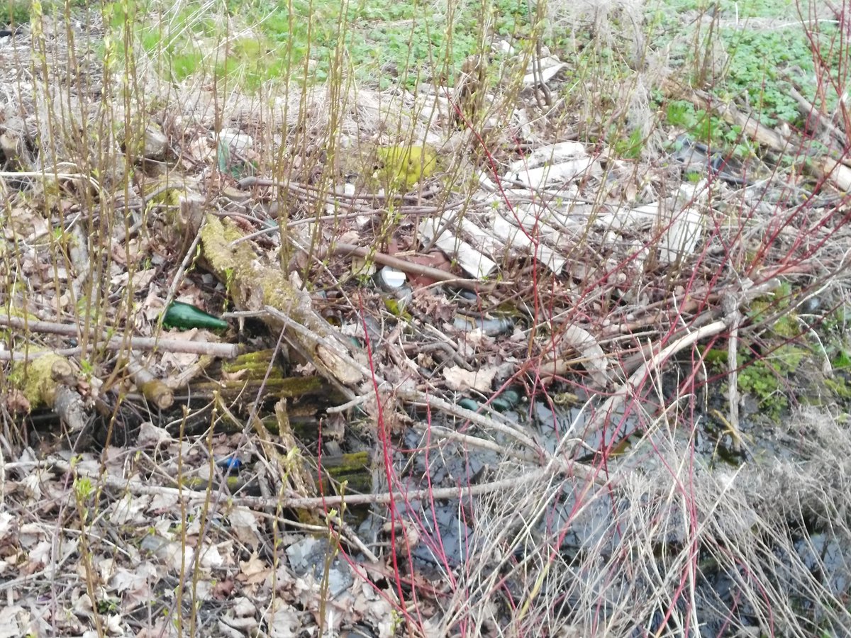 taadina's tweet photo. Iespējams šai būtu jābūt jaunajai Kalsnavas vizītkartei. 😒🚫🚮 #kalsnavasstacija @KJauniesi https://t.co/L4y9kH8nSB
