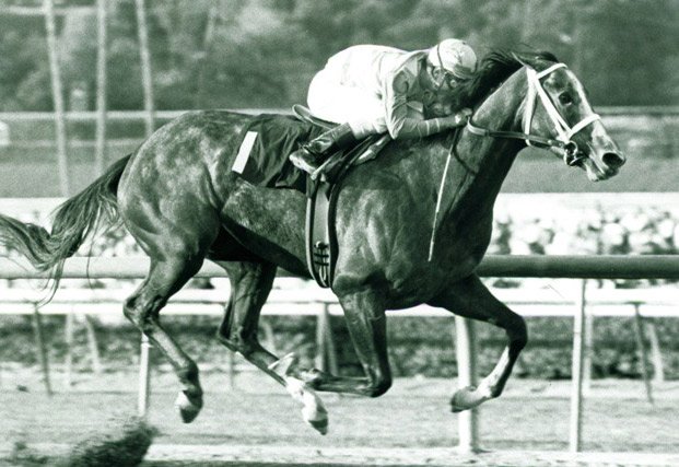 ABRLive's tweet image. .@orngnbluegrass has 14 things fun facts about the @KentuckyDerby! Get in the know: americasbestracing.net/lifestyle/2016…