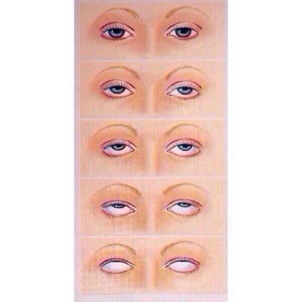 LaughPolice's tweet photo. people at school got me like https://t.co/F5eGrUvP9c