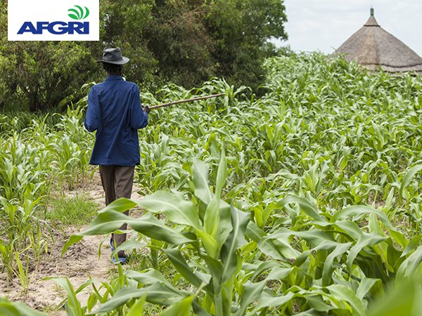 AFGRI1's tweet photo. Did you know - #Agriculture employs more people in the developing world than any other industry! #SupportYourFarmer https://t.co/ssyxeK7s5n