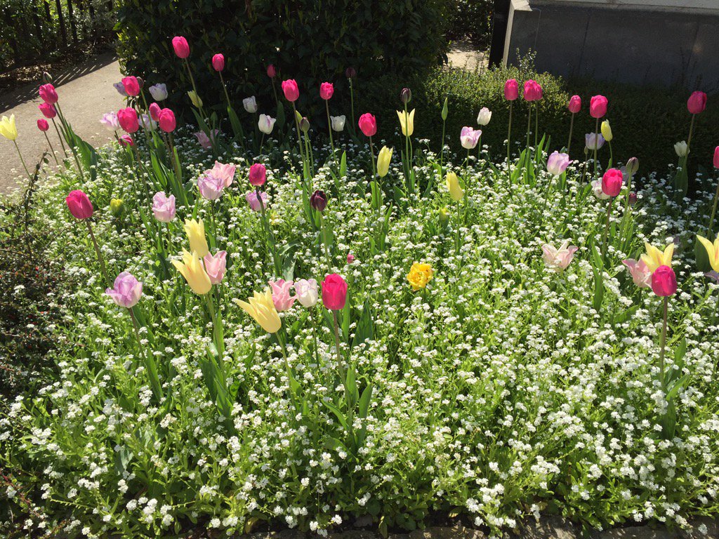 VilledeMargency's tweet photo. Promenade dans le parc de la mairie... https://t.co/OnxQ84i7x4