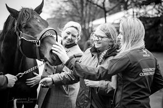 Moa Sundström shows that age has no barriers when it comes to breeding &amp; owning racehorses bit.ly/FutureOfFrench…