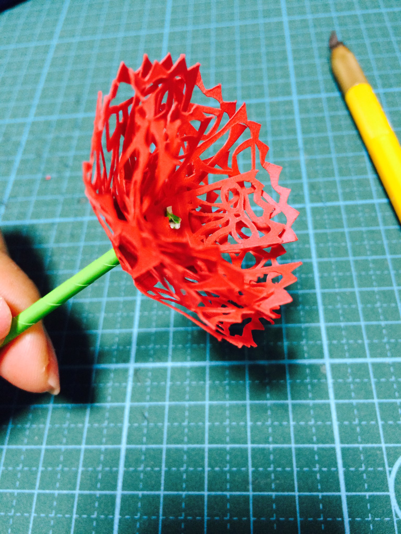 みぃ 立体切り絵できた リボン柄カーネーション 母の日も近いしこの季節にいいかなーと 立体切り絵 切り絵 T Co Lbocg98g7j Twitter みぃ 立体切り絵できた リボン柄カーネーション 母の日も近いしこの季節にいいかなーと 立体切り絵 切り絵 T Co Lbocg98g7j Twitter