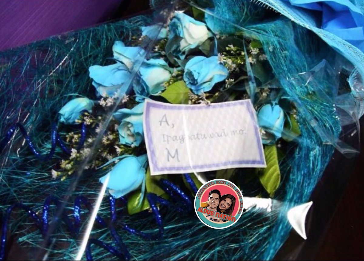 ALDUBNation's tweet photo. Ngayon lang ako nakareceived ng flowers ;) ~AA ctto @aldenrichards02 @mainedcm #ALDUB41stWeeksary https://t.co/ckBiaXbYsY
