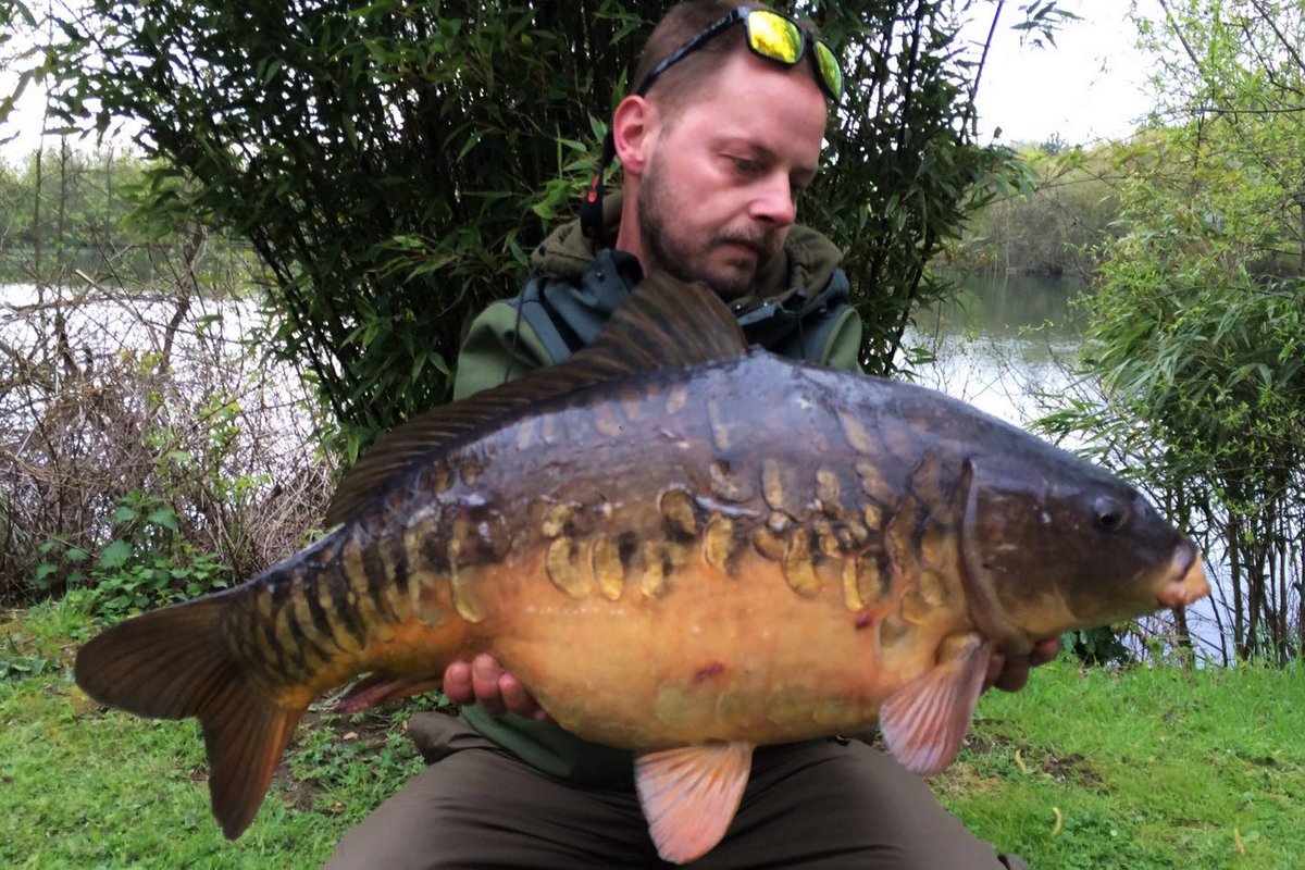 rkleisure's tweet photo. Peter Hurst and a 16lb 8oz #carp from the #BoatPool at Horton this week! #RKLeisure https://t.co/yjxzReMEFv