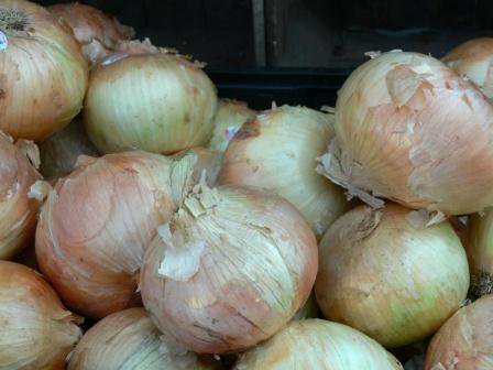 CurriesMarket's tweet photo. #VidaliaOnions - best quality and best price this time of year! https://t.co/YClHP9BRcI