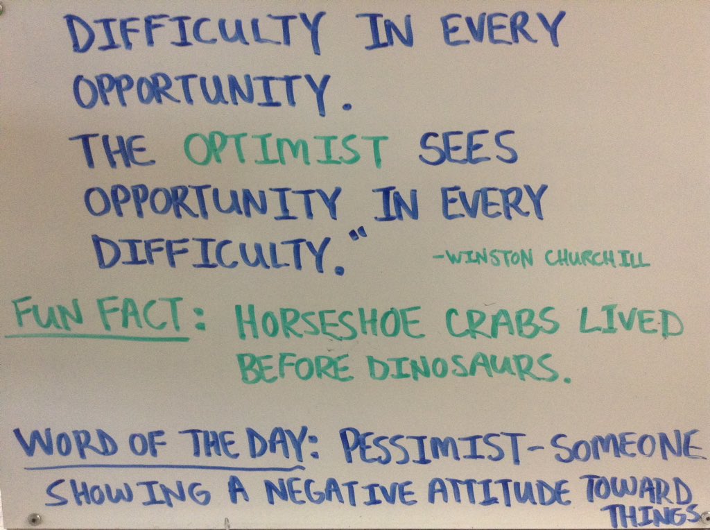 ShayneLibrary's tweet image. The Shayne Daily Star