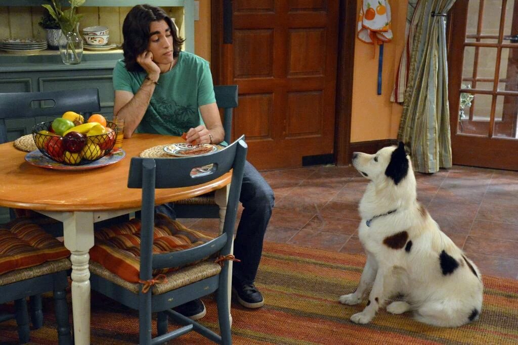 CinecolorCol's tweet photo. #DatoDisney: #StanElPerroBloguero es interpretado por Mick, un can adoptado de un refugio. @DisneyChannelLA https://t.co/ctB2R6FpPj