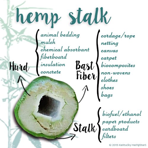 NurseMaryJInk's tweet photo. Industrial Hemp is one of the most amazing commodities on the planet! https://t.co/BNP6T52fM1