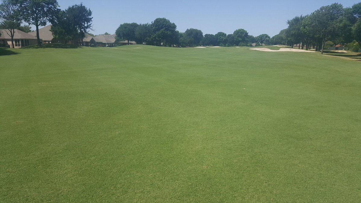 TurfTexas's tweet photo. Aerified Fairway April 4th. 3 weeks later! #fighttraffic #saynotocompaction https://t.co/LkcZdlGIvd