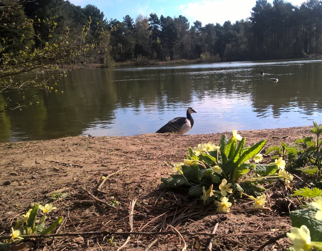 Beautiful day in Suffolk. <a href="/WildlifeTrusts/">The Wildlife Trusts</a> <a href="/SupportNWT/">NWT — OLD ACCOUNT, NOW @NorfolkWT</a> <a href="/EyesOnWildlife/">Joe Jackson</a>