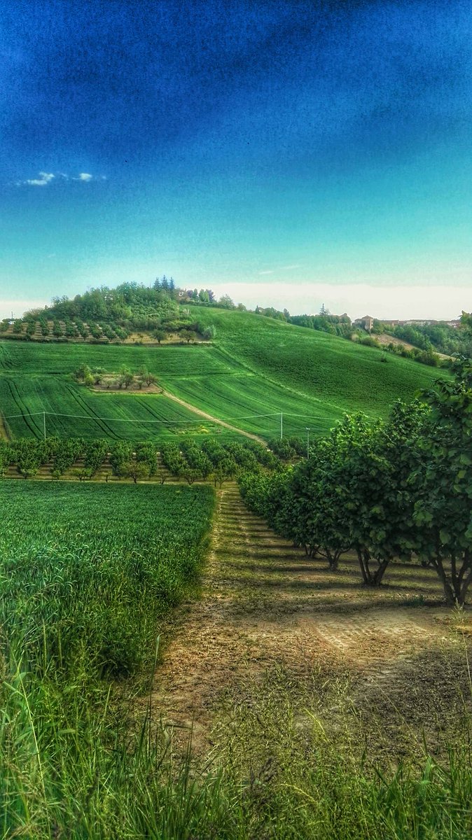 concy810's tweet photo. #luoghiamecari #monferrato https://t.co/XmnxMjXTXZ