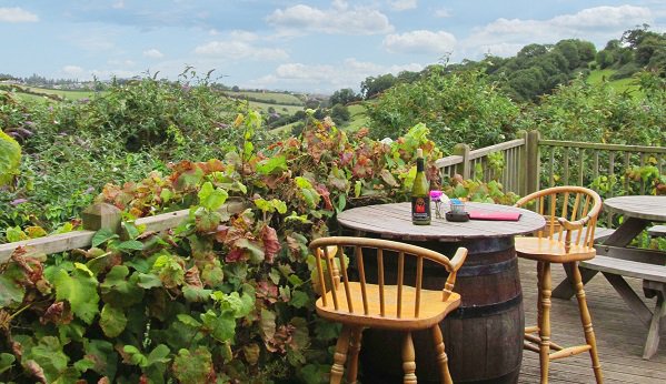 Visit a Devon vineyard, enjoy fab wines &amp; learn from the experts (not compulsory)> bit.ly/1SVAQdQ