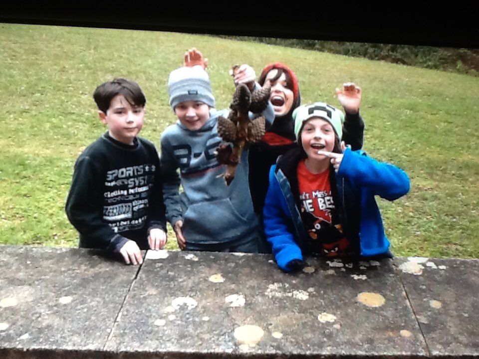 FrodManor's tweet photo. Having fun back at the centre and some more fire striker work! #manormenai2016 #alreadypros https://t.co/ET93GKf4ek